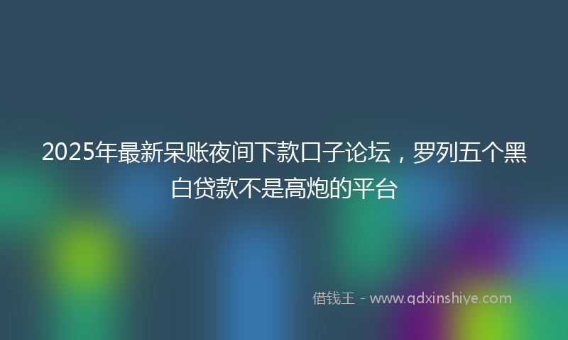 2025年最新呆账夜间下款口子论坛，罗列五个黑白贷款不是高炮的平台