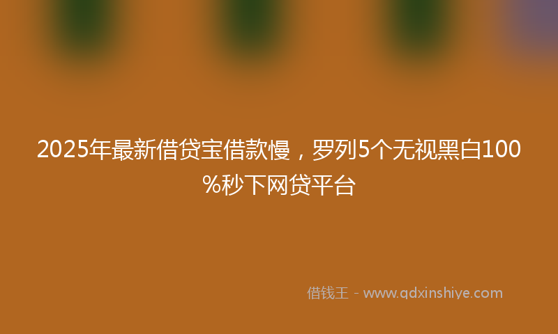 2025年最新借贷宝借款慢，罗列5个无视黑白100%秒下网贷平台
