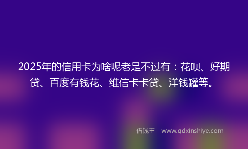 2025年的信用卡为啥呢老是不过有：花呗、好期贷、百度有钱花、维信卡卡贷、洋钱罐等。