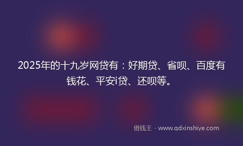 2025年的十九岁网贷有：好期贷、省呗、百度有钱花、平安i贷、还呗等。
