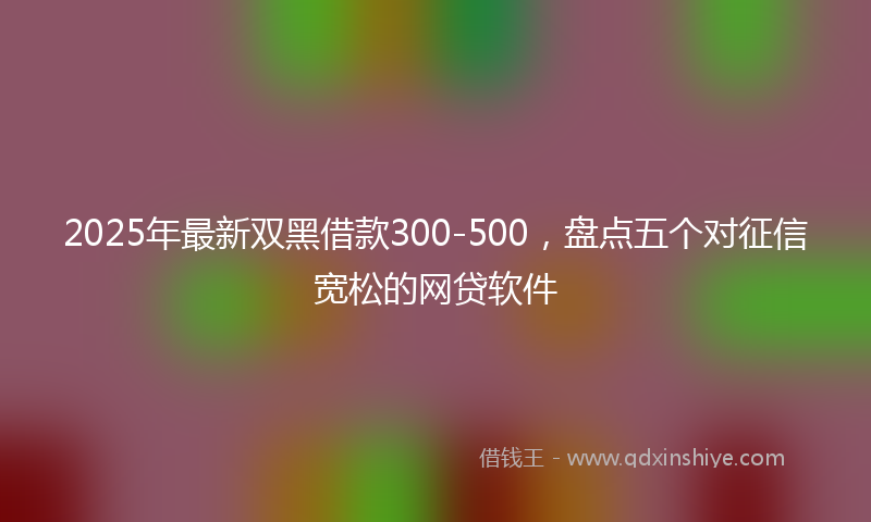 2025年最新双黑借款300-500，盘点五个对征信宽松的网贷软件