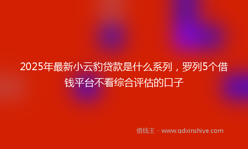 2025年最新小云豹贷款是什么系列，罗列5个借钱平台不看综合评估的口子