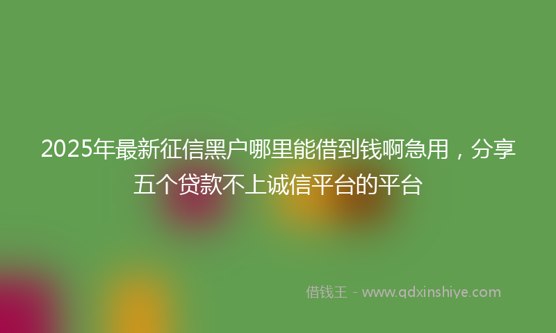 2025年最新征信黑户哪里能借到钱啊急用，分享五个贷款不上诚信平台的平台