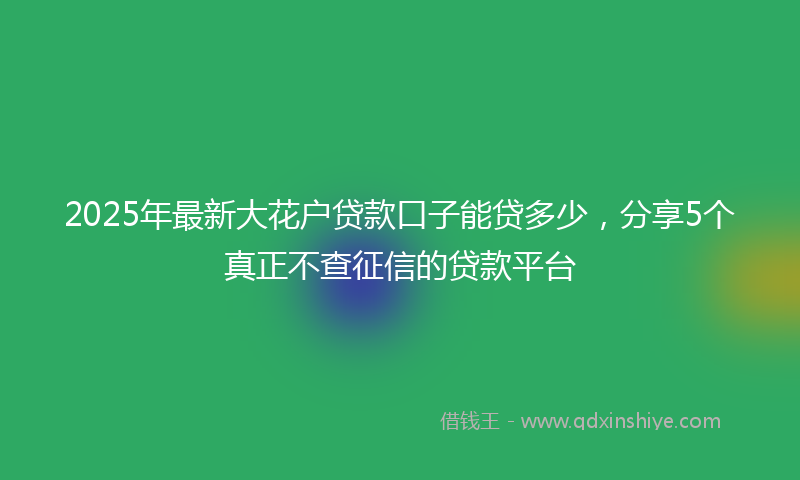 2025年最新大花户贷款口子能贷多少，分享5个真正不查征信的贷款平台