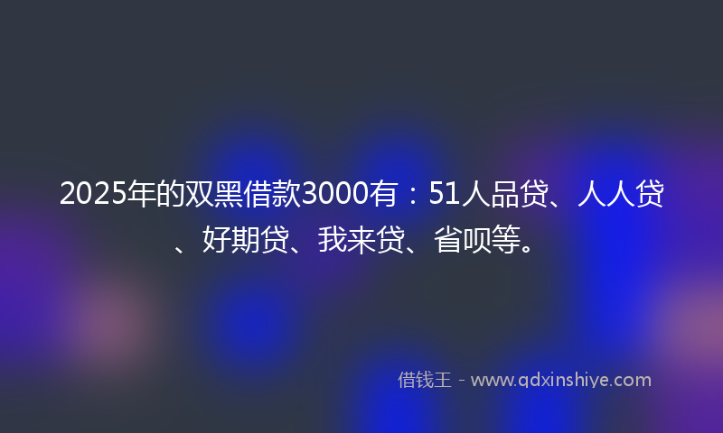 2025年的双黑借款3000有：51人品贷、人人贷、好期贷、我来贷、省呗等。