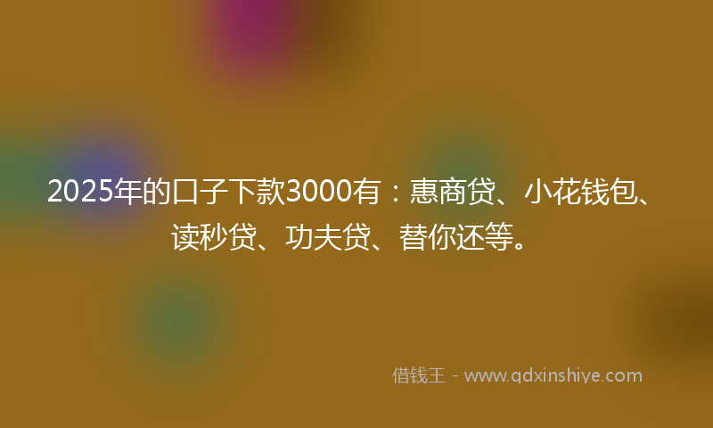 2025年的口子下款3000有：惠商贷、小花钱包、读秒贷、功夫贷、替你还等。