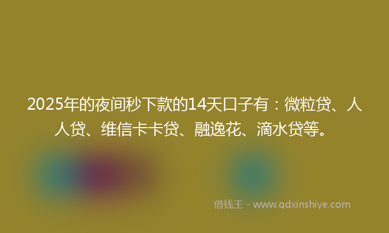 2025年的夜间秒下款的14天口子有：微粒贷、人人贷、维信卡卡贷、融逸花、滴水贷等。
