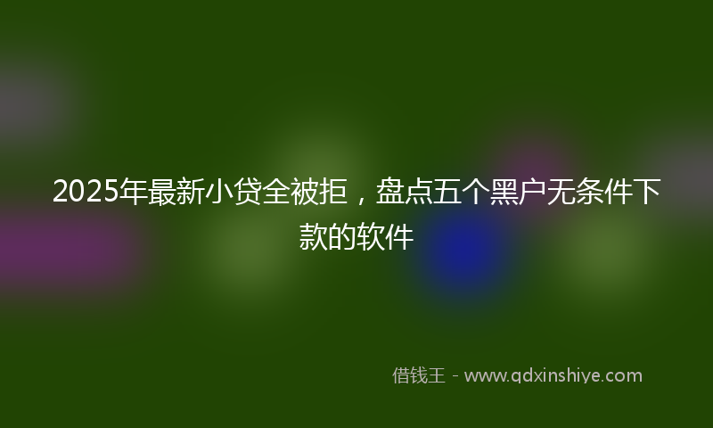 2025年最新小贷全被拒，盘点五个黑户无条件下款的软件