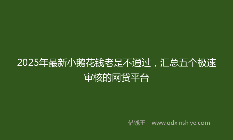 2025年最新小鹅花钱老是不通过，汇总五个极速审核的网贷平台
