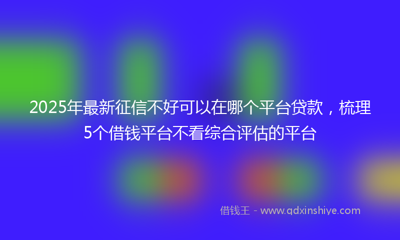 2025年最新征信不好可以在哪个平台贷款，梳理5个借钱平台不看综合评估的平台