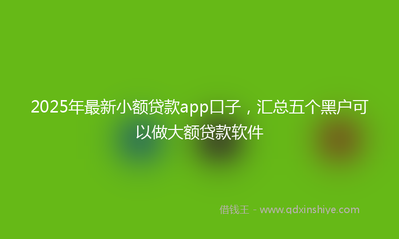 2025年最新小额贷款app口子，汇总五个黑户可以做大额贷款软件
