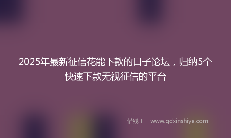 2025年最新征信花能下款的口子论坛，归纳5个快速下款无视征信的平台