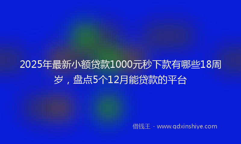2025年最新小额贷款1000元秒下款有哪些18周岁，盘点5个12月能贷款的平台