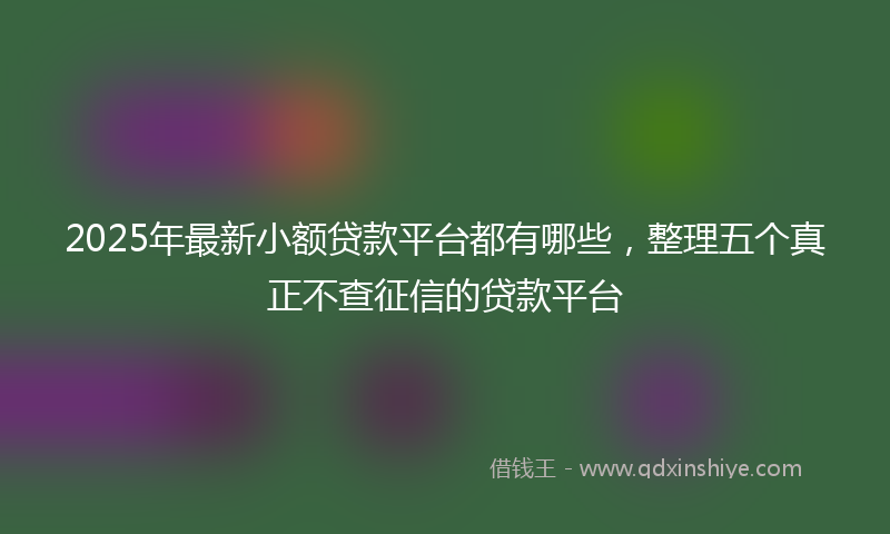 2025年最新小额贷款平台都有哪些，整理五个真正不查征信的贷款平台