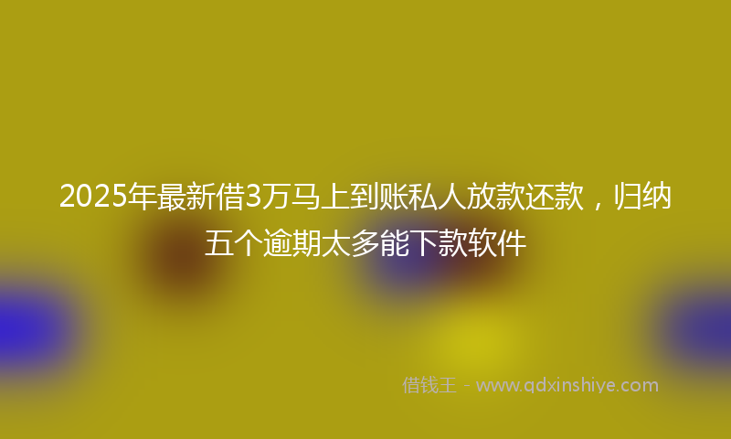 2025年最新借3万马上到账私人放款还款，归纳五个逾期太多能下款软件