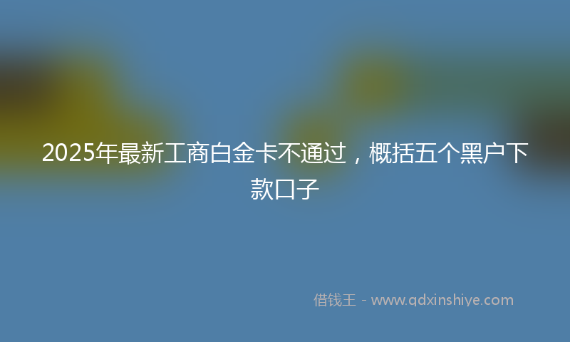 2025年最新工商白金卡不通过，概括五个黑户下款口子