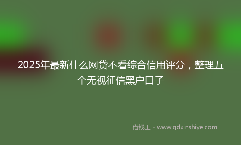 2025年最新什么网贷不看综合信用评分，整理五个无视征信黑户口子