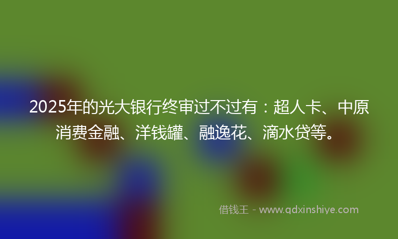 2025年的光大银行终审过不过有：超人卡、中原消费金融、洋钱罐、融逸花、滴水贷等。