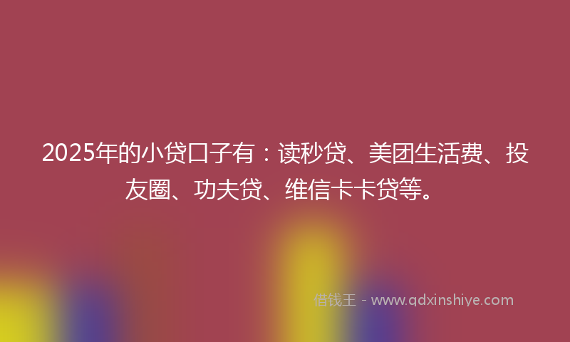 2025年的小贷口子有：读秒贷、美团生活费、投友圈、功夫贷、维信卡卡贷等。