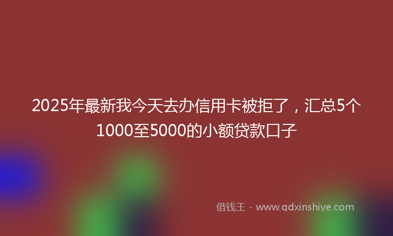 2025年最新我今天去办信用卡被拒了，汇总5个1000至5000的小额贷款口子