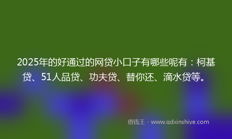 2025年的好通过的网贷小口子有哪些呢有：柯基贷、51人品贷、功夫贷、替你还、滴水贷等。