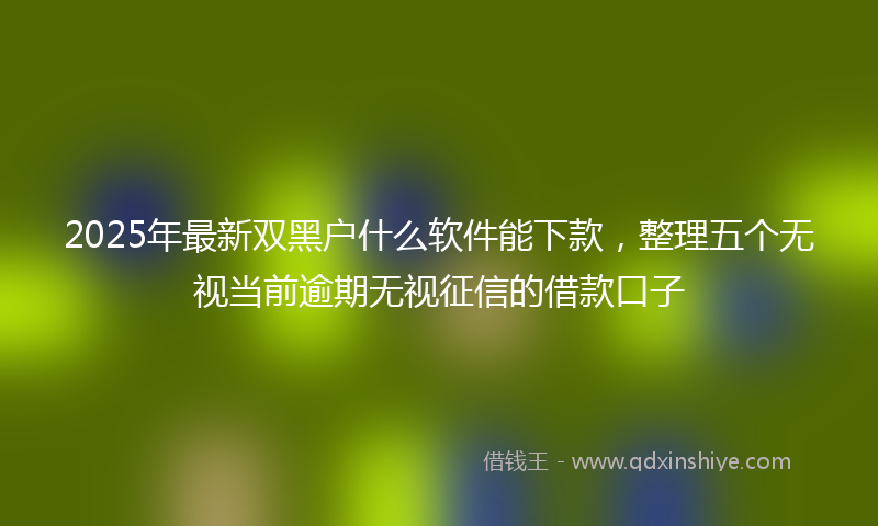 2025年最新双黑户什么软件能下款，整理五个无视当前逾期无视征信的借款口子