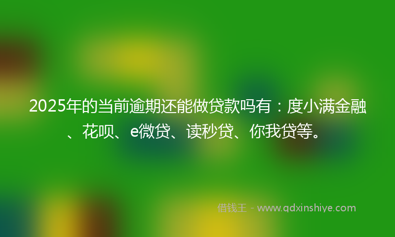 2025年的当前逾期还能做贷款吗有：度小满金融、花呗、e微贷、读秒贷、你我贷等。