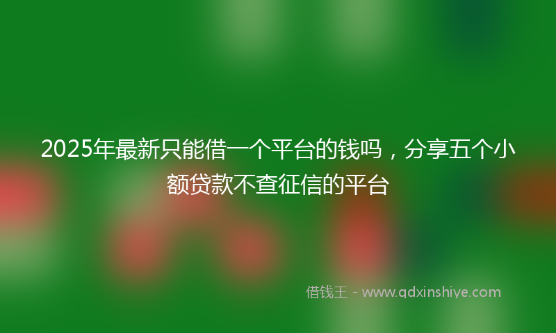 2025年最新只能借一个平台的钱吗，分享五个小额贷款不查征信的平台
