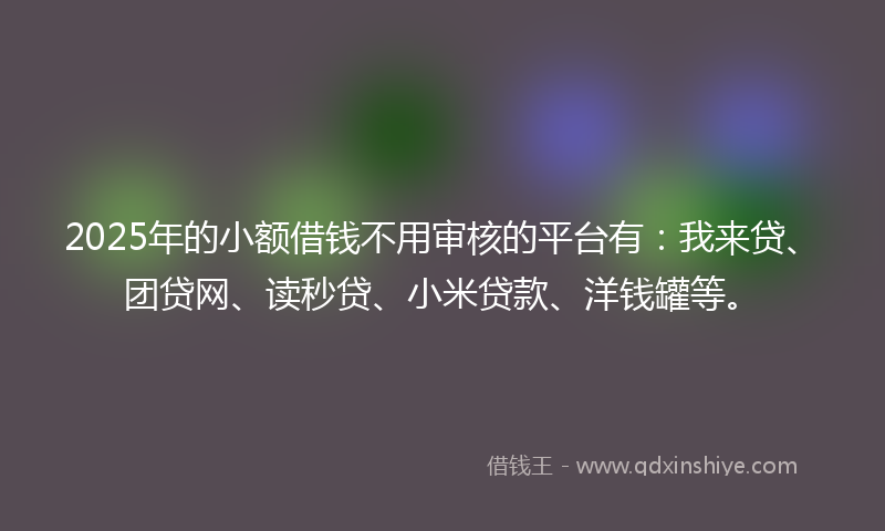 2025年的小额借钱不用审核的平台有：我来贷、团贷网、读秒贷、小米贷款、洋钱罐等。