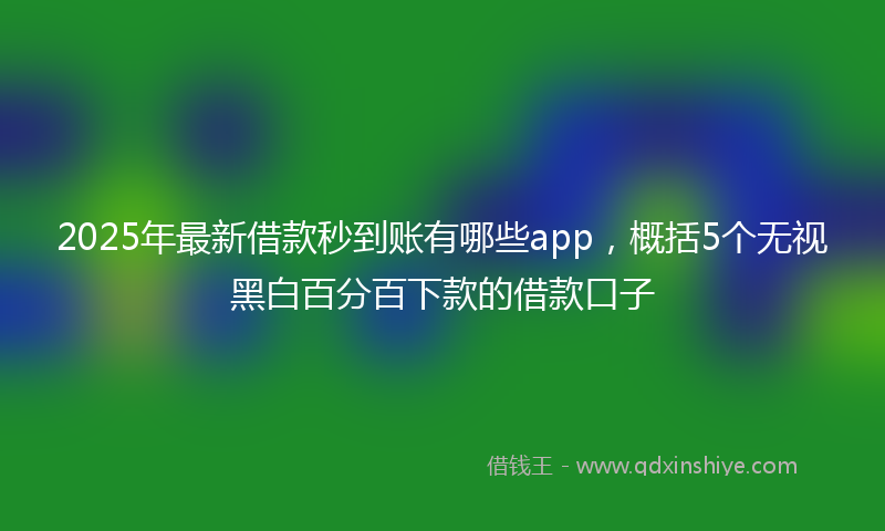 2025年最新借款秒到账有哪些app，概括5个无视黑白百分百下款的借款口子