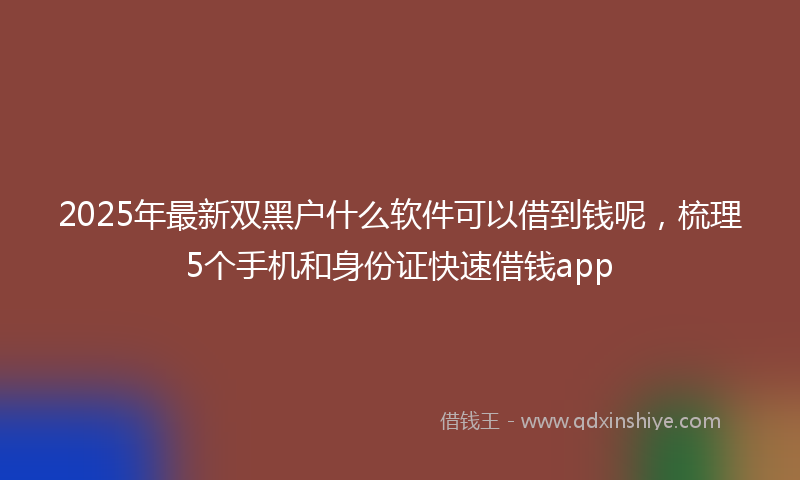 2025年最新双黑户什么软件可以借到钱呢，梳理5个手机和身份证快速借钱app