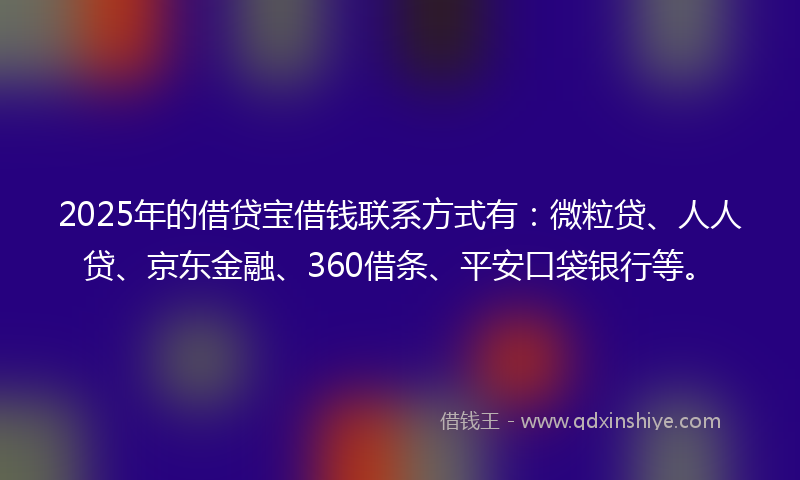 2025年的借贷宝借钱联系方式有：微粒贷、人人贷、京东金融、360借条、平安口袋银行等。