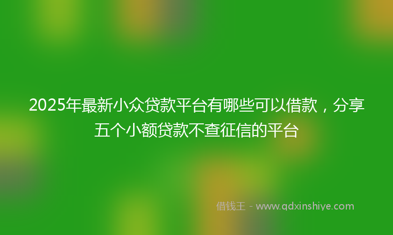 2025年最新小众贷款平台有哪些可以借款，分享五个小额贷款不查征信的平台
