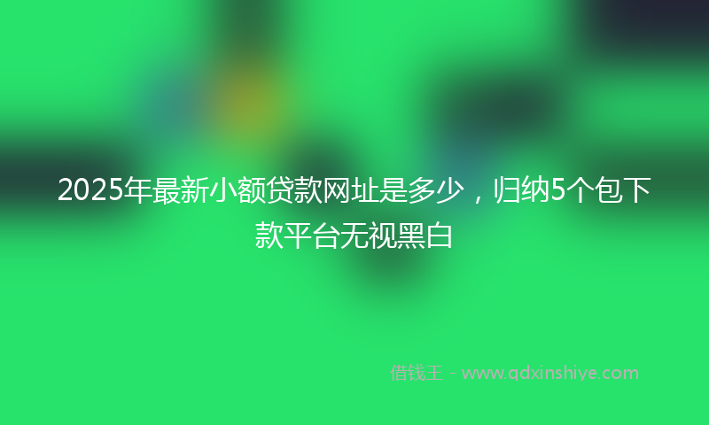 2025年最新小额贷款网址是多少，归纳5个包下款平台无视黑白