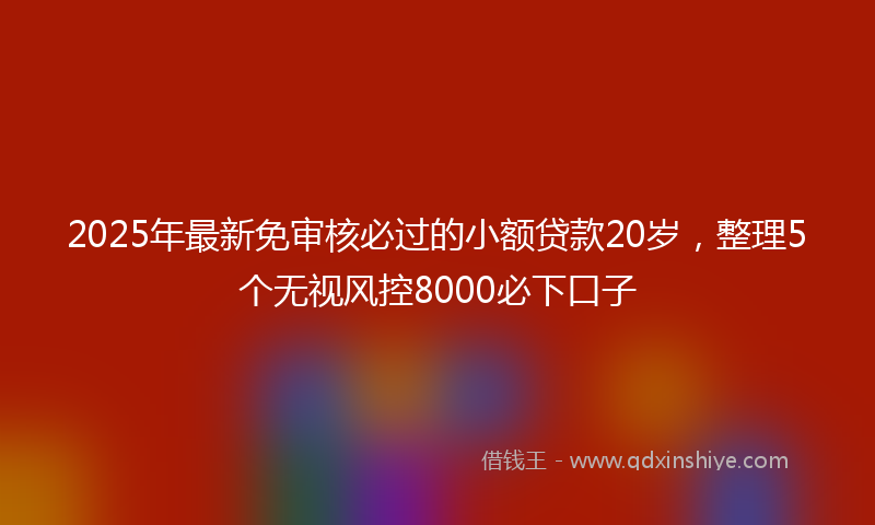 2025年最新免审核必过的小额贷款20岁，整理5个无视风控8000必下口子