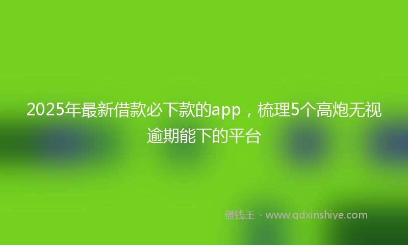 2025年最新借款必下款的app，梳理5个高炮无视逾期能下的平台