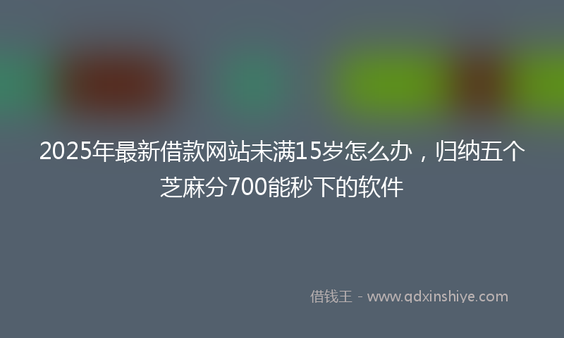 2025年最新借款网站未满15岁怎么办，归纳五个芝麻分700能秒下的软件