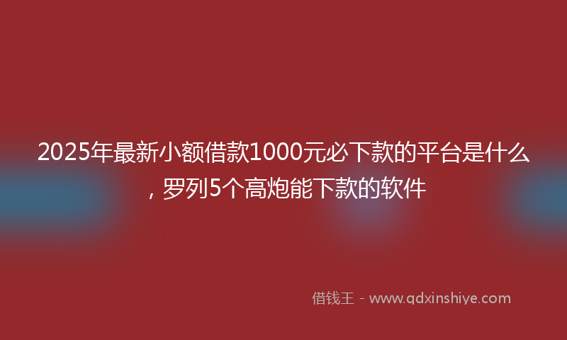 2025年最新小额借款1000元必下款的平台是什么，罗列5个高炮能下款的软件