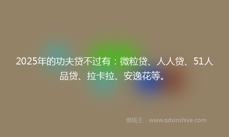 2025年的功夫贷不过有：微粒贷、人人贷、51人品贷、拉卡拉、安逸花等。