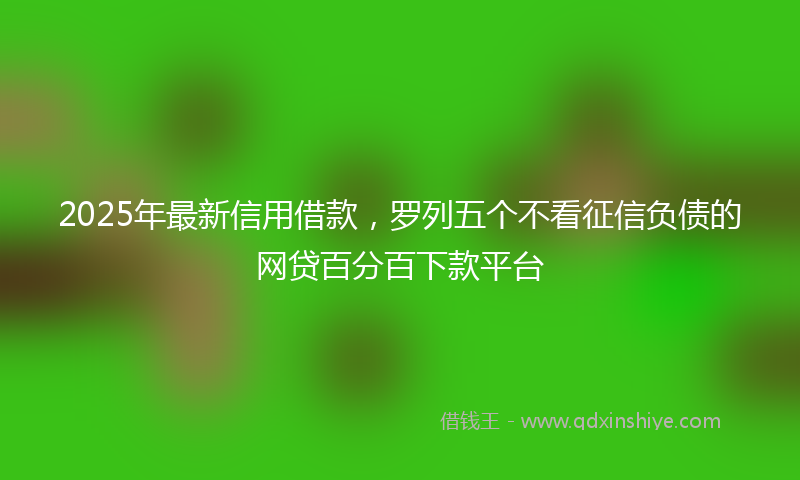 2025年最新信用借款，罗列五个不看征信负债的网贷百分百下款平台
