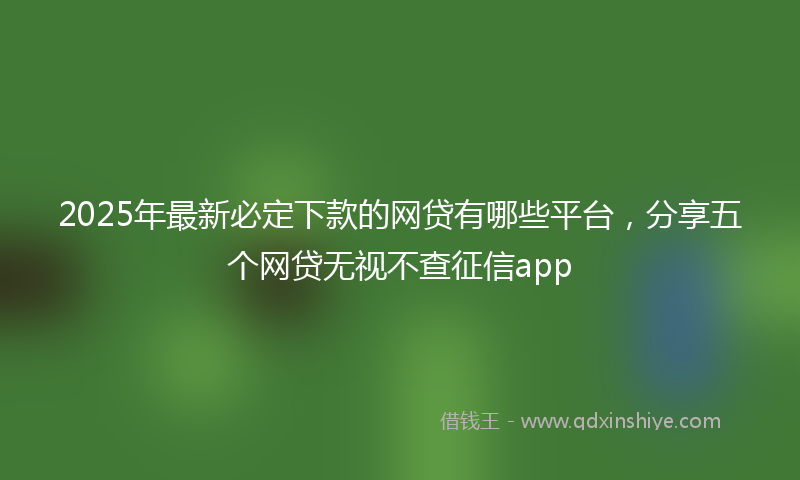 2025年最新必定下款的网贷有哪些平台，分享五个网贷无视不查征信app