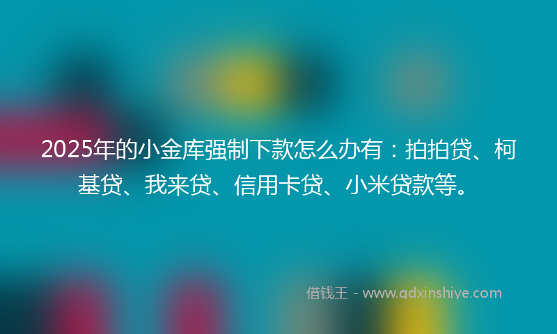 2025年的小金库强制下款怎么办有：拍拍贷、柯基贷、我来贷、信用卡贷、小米贷款等。