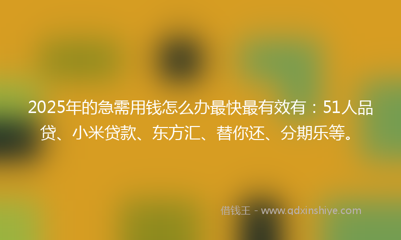 2025年的急需用钱怎么办最快最有效有：51人品贷、小米贷款、东方汇、替你还、分期乐等。