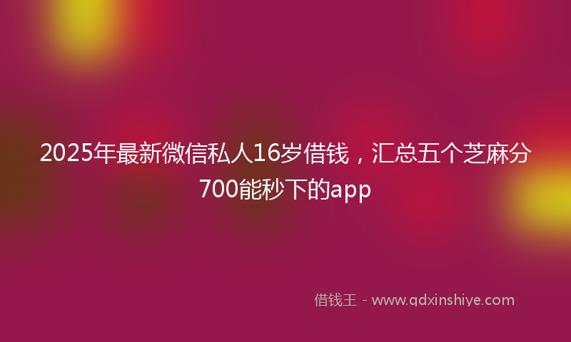 2025年最新微信私人16岁借钱，汇总五个芝麻分700能秒下的app