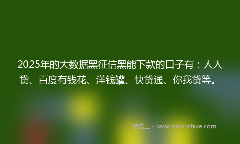 2025年的大数据黑征信黑能下款的口子有：人人贷、百度有钱花、洋钱罐、快贷通、你我贷等。
