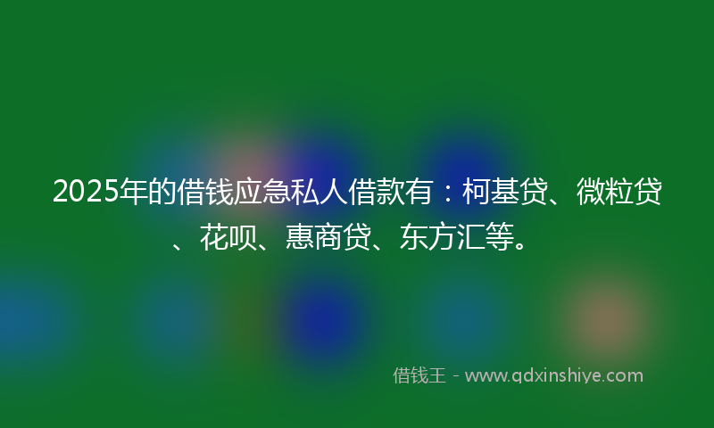 2025年的借钱应急私人借款有：柯基贷、微粒贷、花呗、惠商贷、东方汇等。