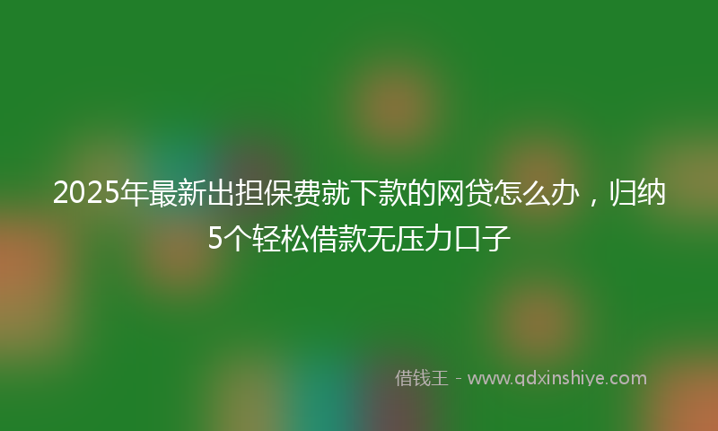 2025年最新出担保费就下款的网贷怎么办，归纳5个轻松借款无压力口子