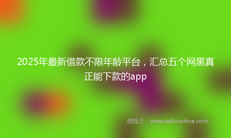 2025年最新借款不限年龄平台，汇总五个网黑真正能下款的app