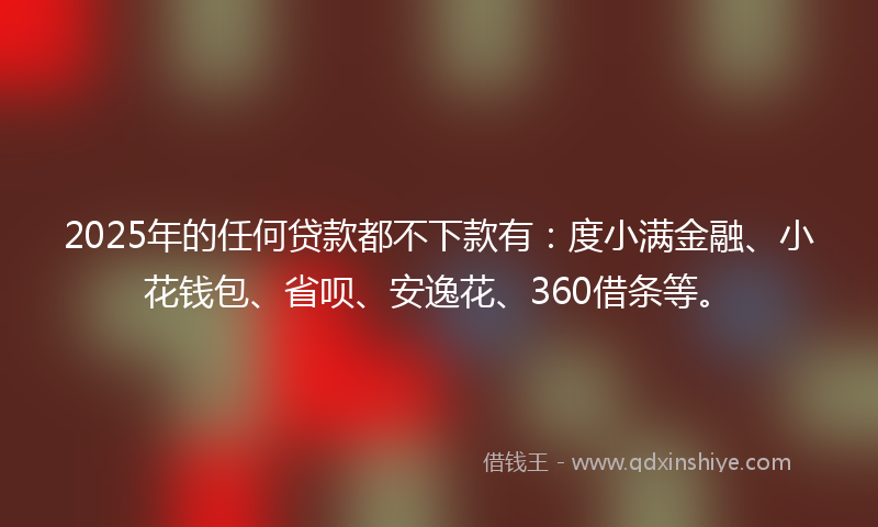 2025年的任何贷款都不下款有：度小满金融、小花钱包、省呗、安逸花、360借条等。
