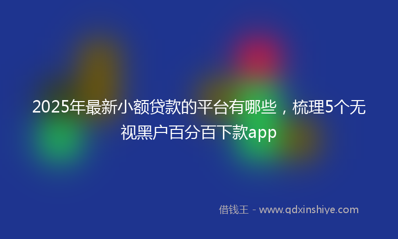 2025年最新小额贷款的平台有哪些，梳理5个无视黑户百分百下款app